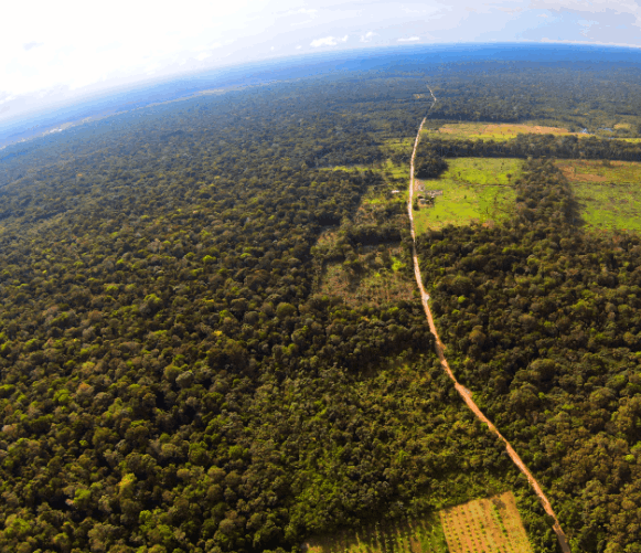 photo aérienne amazonie